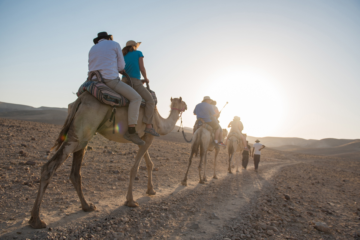 family tours of israel